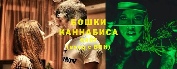 молекула духа Дегтярск