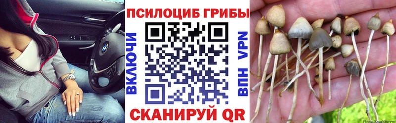 Псилоцибиновые грибы Cubensis  Изобильный 